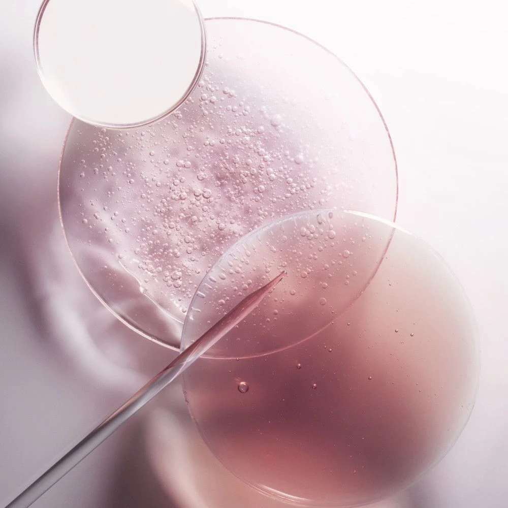 Kérastase Kerastase Chroma Absolu Bain Riche Chroma Respect 500ml 2 Kérastase Kerastase Chroma Absolu Bain Riche Chroma Respect 500ml - Afbeelding 2