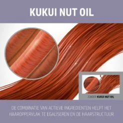 Goldwell Dualsenses Just Smooth Taming Oil 100ml -Winkel Voor Haarproducten 4021609061281 3