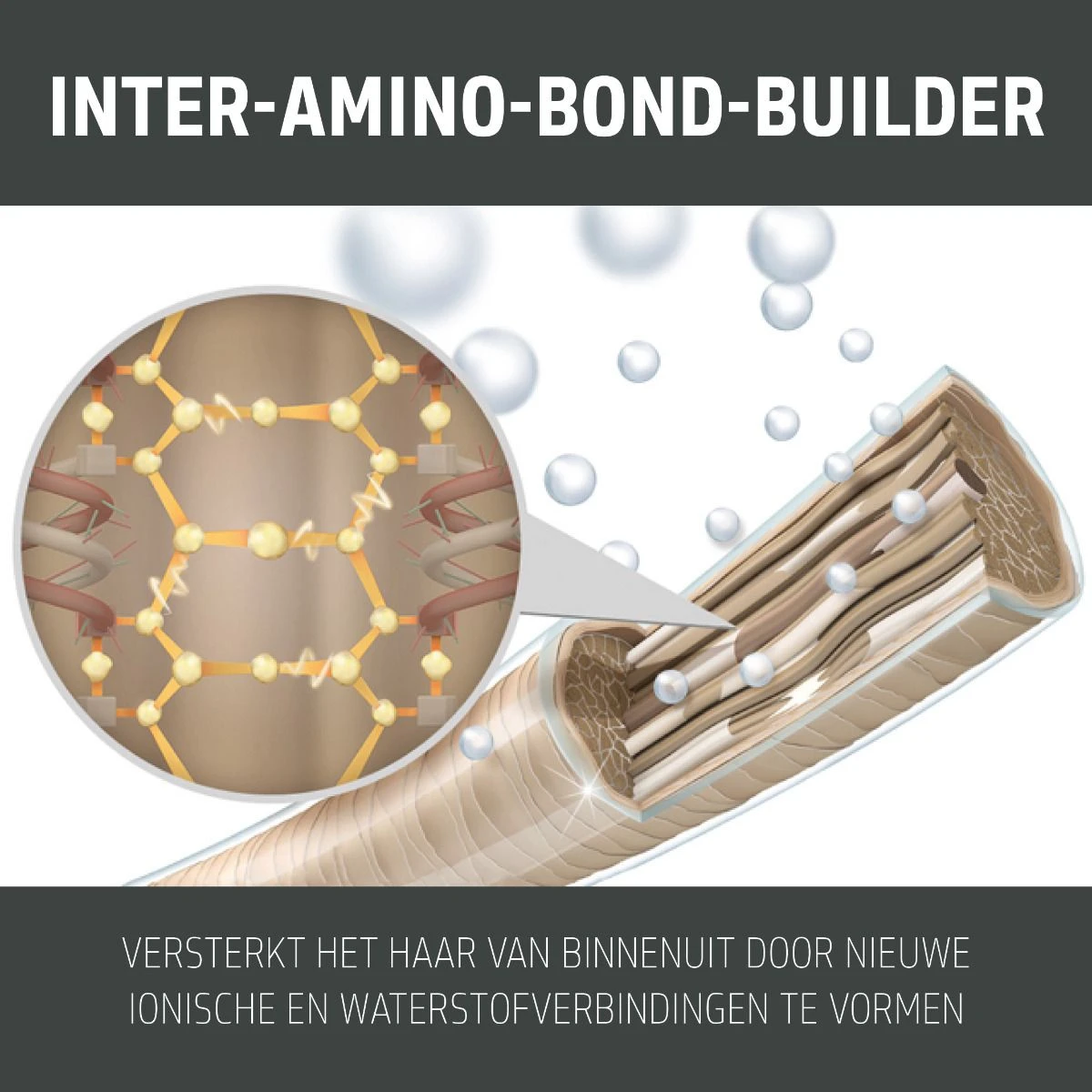 Goldwell Dualsenses Bond Pro Fortifying Conditioner 1000ml 3 Goldwell Dualsenses Bond Pro Fortifying Conditioner 1000ml - Afbeelding 3