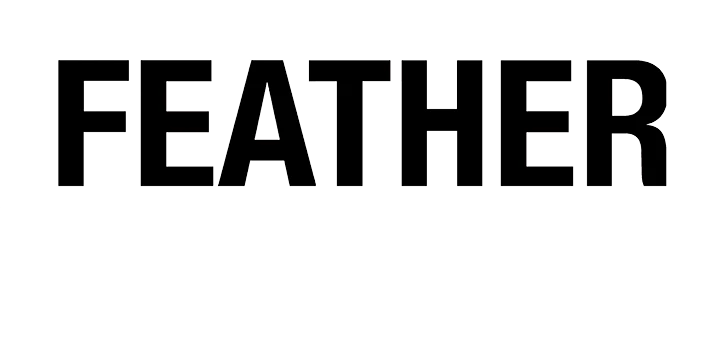 Feather Set 4you 4 Feather Set 4you - Afbeelding 4