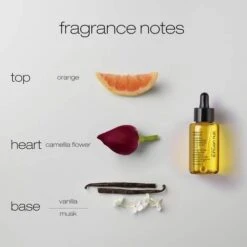 Shu Uemura Essence Absolue Nourishing Soothing Scalp Oil Concentrate 50ml 7 Shu Uemura Essence Absolue Nourishing Soothing Scalp Oil Concentrate 50ml -Winkel Voor Haarproducten shu uemura art of hair essence absolue nourishing soothing scalp oil4